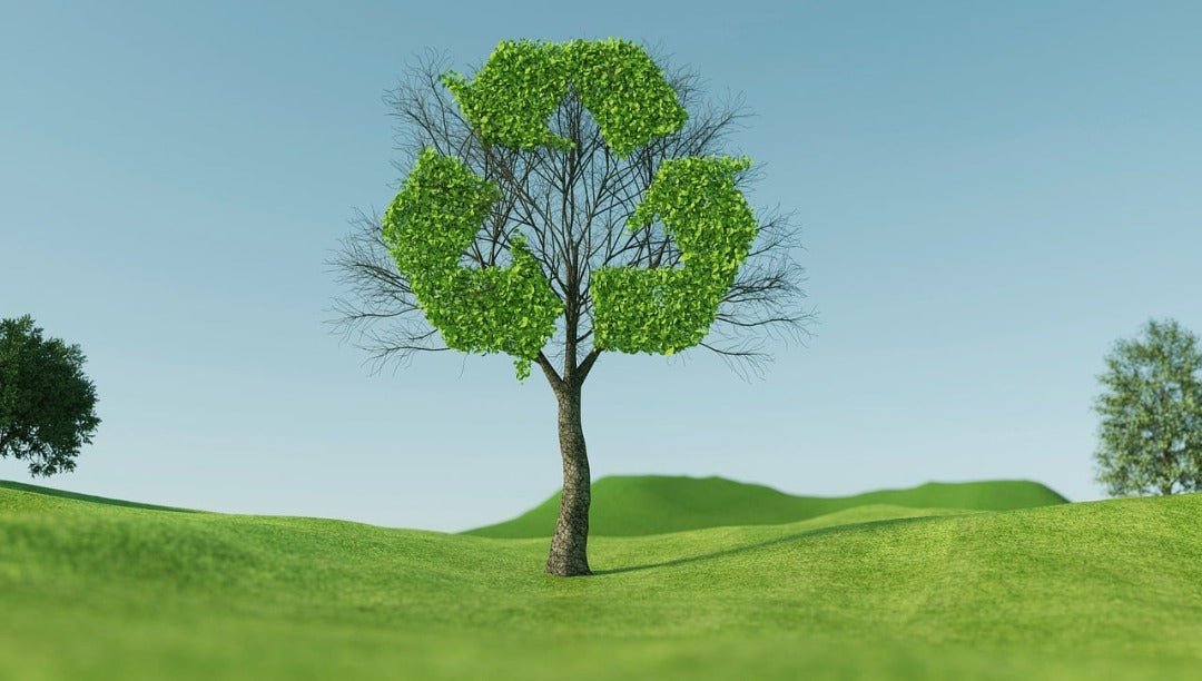 Sustainability in Action at lubluelu