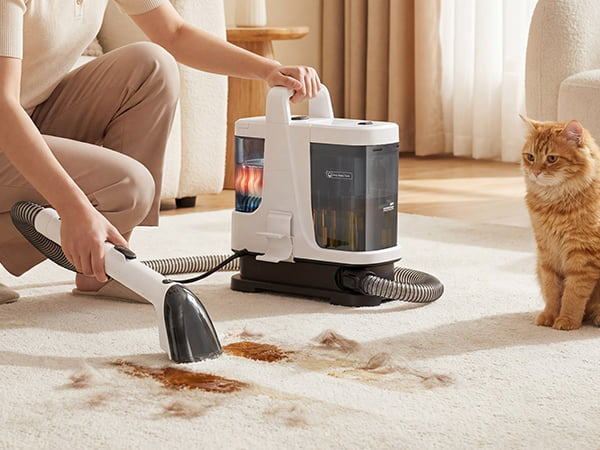 Person using a carpet cleaner on a stain with a cat observing in a living room.